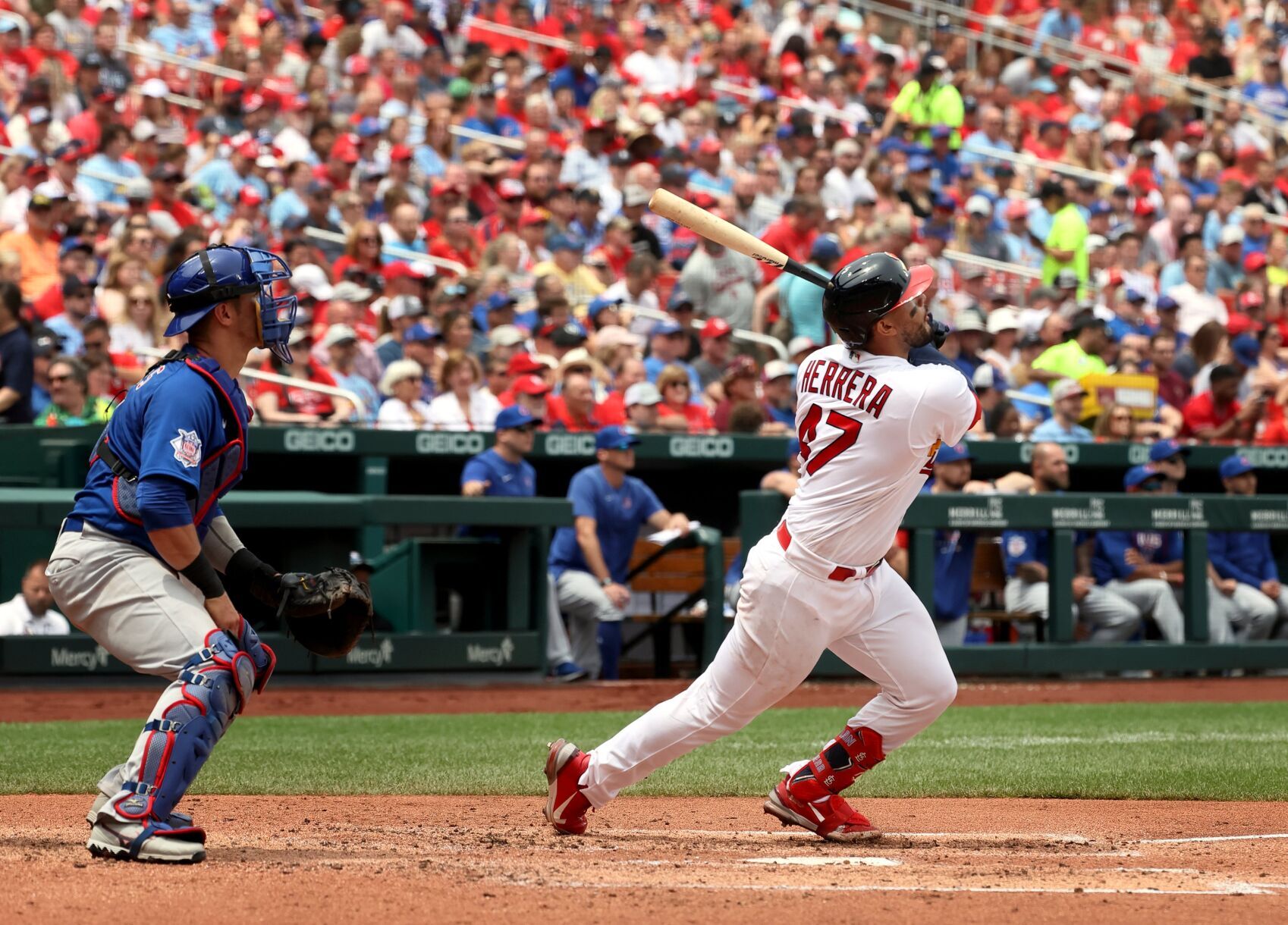 Chicago Cubs vs St. Louis Cardinals